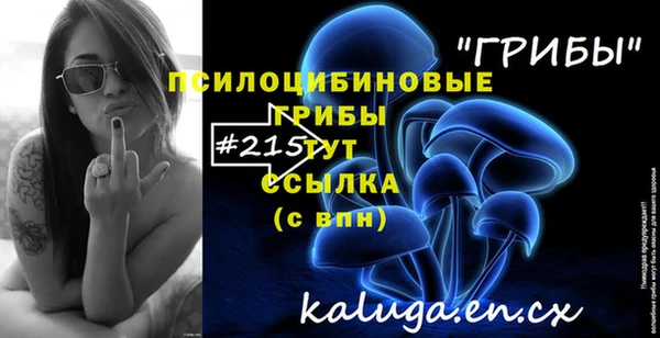 прущая мука Протвино