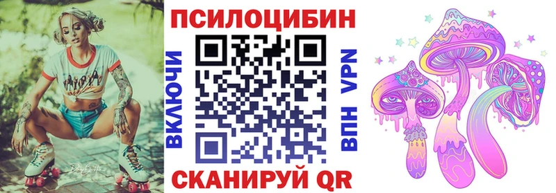 hydra рабочий сайт цена Рудня Галлюциногенные грибы Cubensis