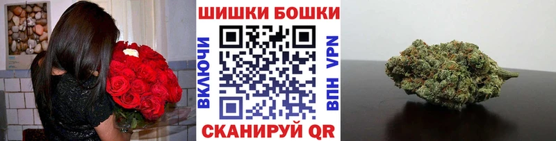 Канабис планчик Рудня